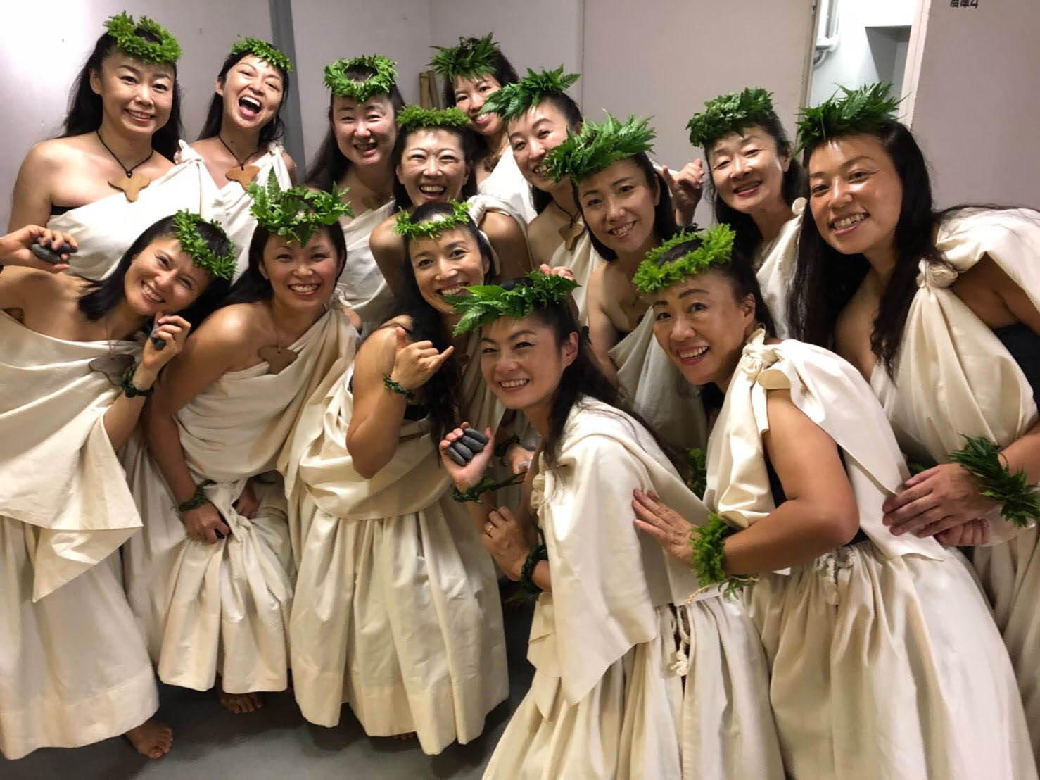 フラダンス　プイリ Kahikina Nailiili 楽器WSDVD 【購入はこちらから】｜横浜ソーレ
